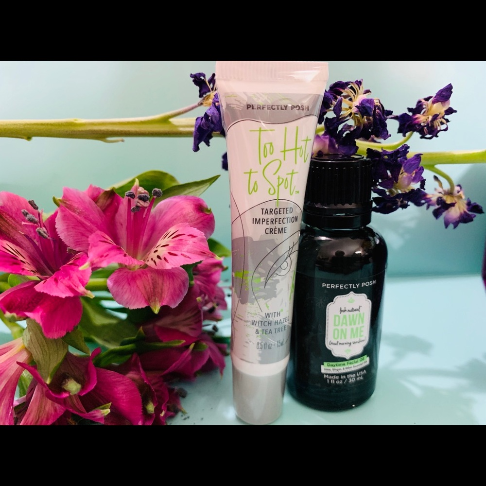 Retired Perfectly Posh Face Bundle!